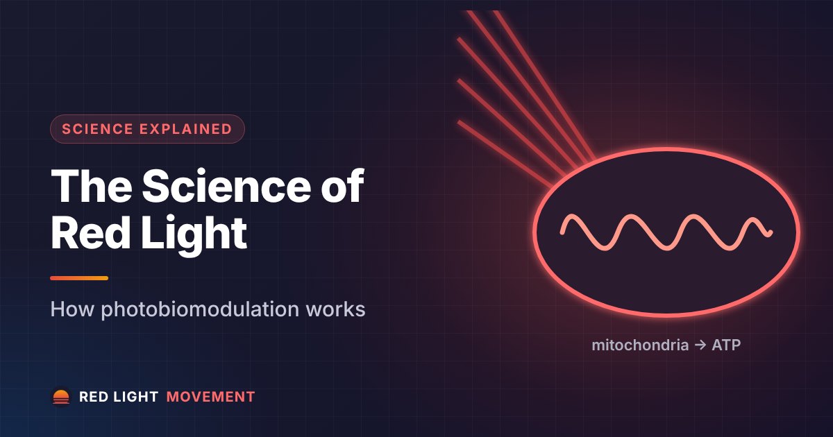 The Complete Science of Red Light Therapy: How Photobiomodulation Actually Works
